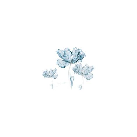 Stickers muraux fleurs bleues claires, grandes fleurs bleues, fleurs de lotus, pour adultes, salons, chambres, bureaux, fonds de canapé, décoration murale.-Crezuo