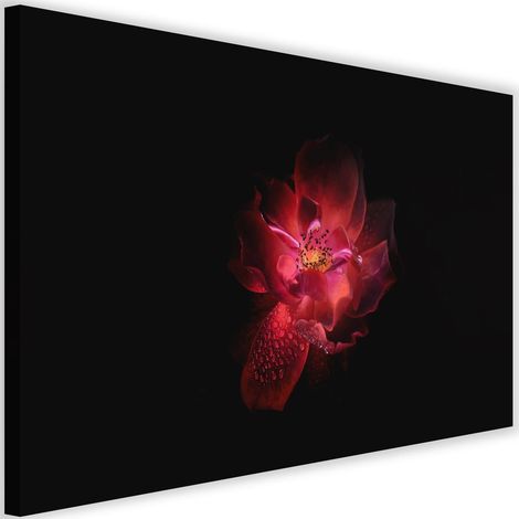 Tableau sur toile Fleur rose Fond noir 60x40 (1/5)