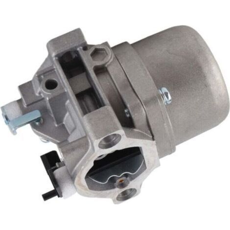 Carburateur moteur pour Briggs & Stratton 285707, 289707, 28B705, 28M707 (1/5)