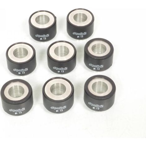 Variomatik-Rolle Polini für Roller Gilera 500 Nexus Sp Euro3 2006 (1/3)