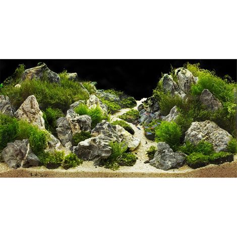 Poster de Fond d'Aquarium Double Face Décoration Paysage Verdoyant Fond d'Écran Autocollant pour Aquarium et Terrarium