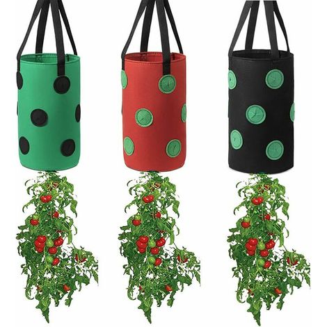 Filiyano-Sacs de culture pour la culture des fraises et des tomates (1/5)