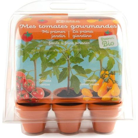 Mini serre 6 pots - Tomates bio à faire pousser (1/3)