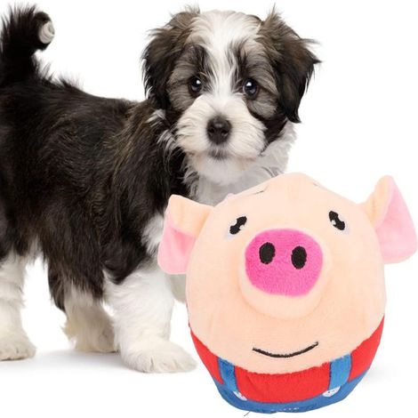 peluche cochon pour chien, balle rebondissante automatique rechargeable USB avec sons (lavable) (1/5)