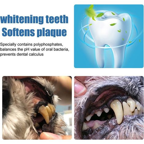 La mousse d'hygiène buccale pour animaux rafraîchit l'haleine et réduit les odeurs chez les chats et les chiens. (1/4)