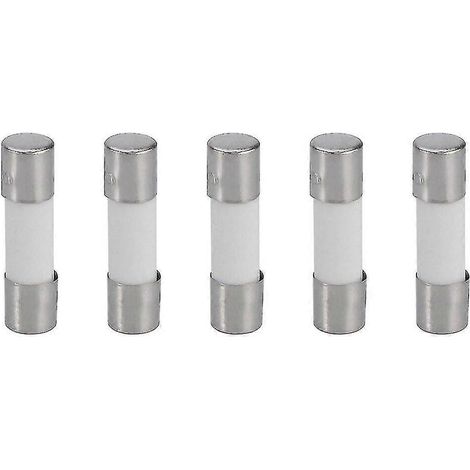 Fusibles céramiques à fusion lente 250 V 6,3 A T6,3a - Lot de 10