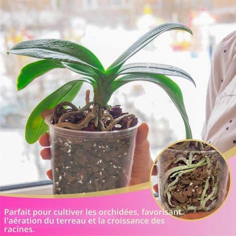 Substrat pour orchidées 1 L - Mélange écorce et perlite pour rempotage, drainage et aération optimale des racines (1/5)