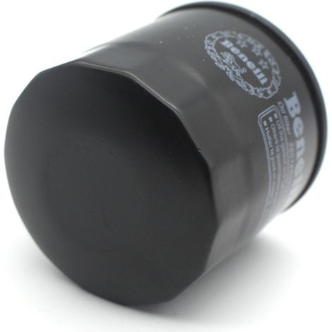 Oil filter for Benelli Huanglong 600, oil filter for Huanglong 600, oil filter for Lanbaolong 300 (1/5)