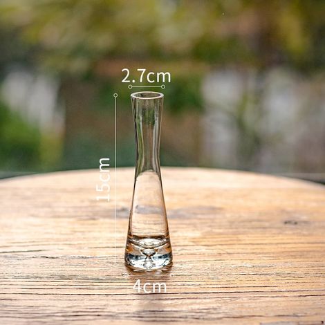 Vase En Verre Transparent - Pour Fleurs Fraîches Ou Plantes Hydroponiques - Décoration Intérieure Table Salon Chambre Bureau - Lot De 1 (1/5)