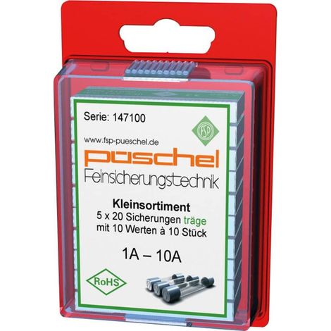 Micro-fusibile Puschel trasparente 20 mm 5 mm