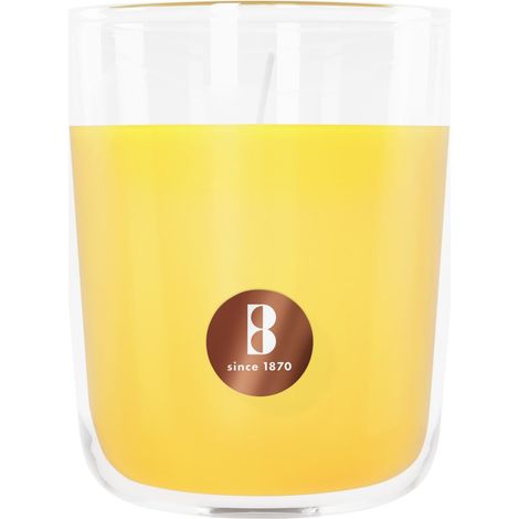 Bolsius Duftkerze True Scents Mimose 9 cm im Glas Duftkerze