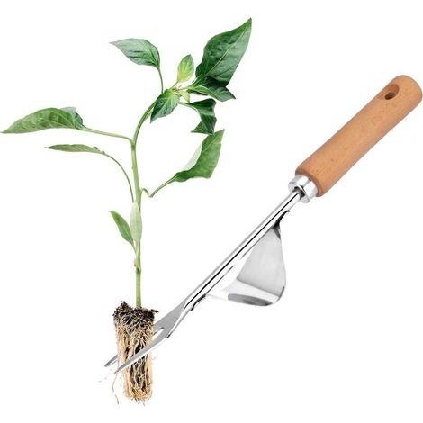 Arrache-mauvaises herbes et arrache-racines en acier inoxydable avec manche en bois, outil manuel pour creuser, désherber et biner, cadeau idéal pour tous les passionnés de jardinage. (1/4)