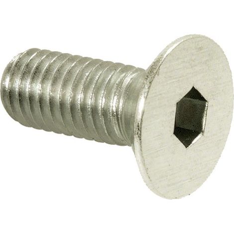 VIS POUR PENTURE FINITION INOX - STREMLER - S171.15.3 STREMLER ASSA ABLOY