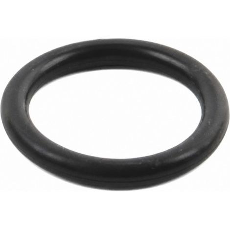 O-Ring des Entlüftungsventils für Hayward Side Sandfilter