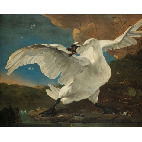 papier peint panoramique Le Cygne Menacé de Jan Asselijn marron - Sanders & Sanders (1/3)