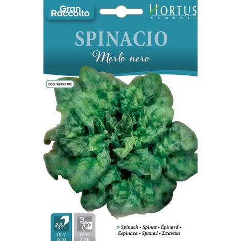 Spinacio Merlo Nero Gran Raccolto