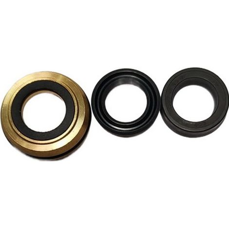 Kit Reparacion Sello Bomba compatible con Dgpw3100H K
