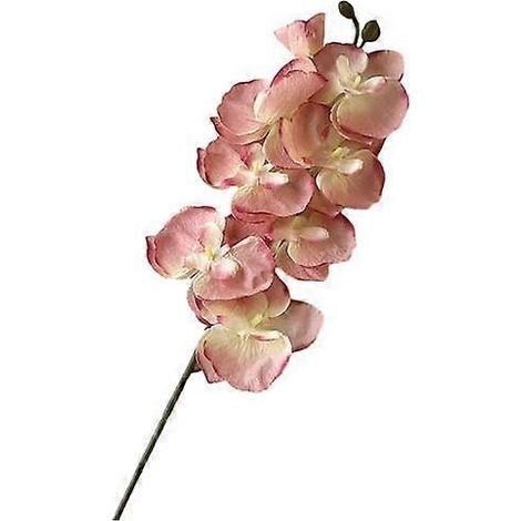 Orchidées artificielles papillon de nuit, fleurs en soie réalistes, décoration pour mariage, fête, maison ou bureaurose (1/5)