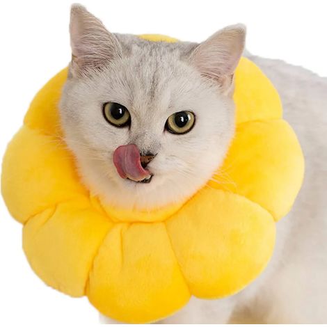 1 Pieza Collar de Recuperación para Gato, Collar de Protección para Gato Suave, Collar de Protección para Mascotas Antideslizante Suave Ajustable Protector para Gato Perro Mascotas Pequeñas (1/4)