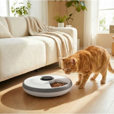 Comedero automático inalámbrico para gatos de 6 comidas, pantalla LED, gris DESVIAE (1/5)