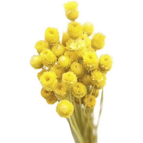 Jaune - fleurs artificielles, bouquets séchés, bouquets naturels, fleurs séchées, vase décoratif, table, 50 tiges orange-AquaForge (1/5)
