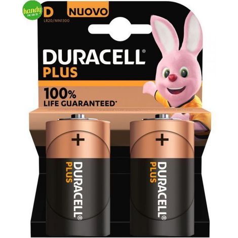 Duracell plus 100 d2 torcia x2