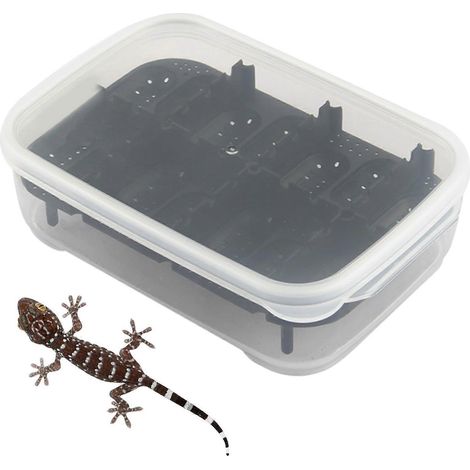 Reptilien-Inkubator mit 14 Fächern, transparente Gecko-Aufzuchtbox für drinnen und draußen, Transport, Schwarz