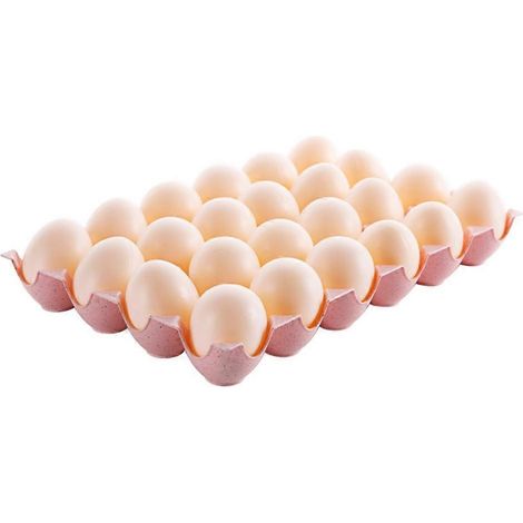 Boîte à œufs de poule 24 compartiments pour conserver les œufs incassables (1/5)