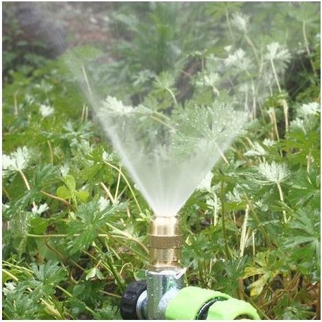 Set of 6 sprinklers for tighten, tools agricultural, nozzle of spraying of water of garden, system of irrigation adjustable, 4 points threaded male, nozzle of spraying (1/4)