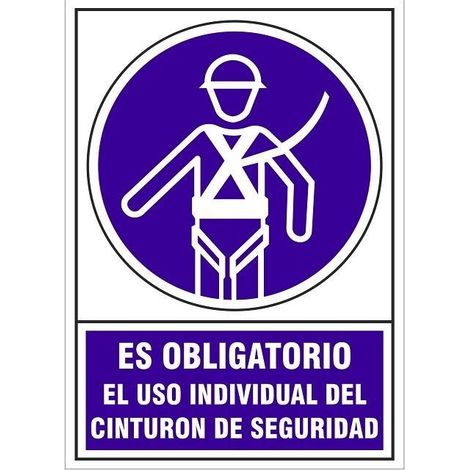 señal 613 plast.295x210''obl.uso.cint.seg es oblig.uso individual cinturon seguridad