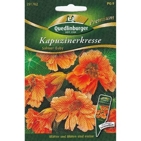 Quedlinburger Kapuzinerkresse Salmon Baby - Blumensamen (1/2)