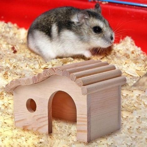Maison en bois de luxe pour rongeurs - Niche en bois pour hamster - Cabane en rondins - Maisonnette - Cage pour souris/hamster - 15 x 8 cm Marron (1/4)