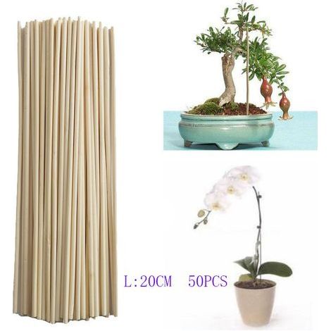 Barre de bambou barre de support de croissance des plantes petit bonsaï branche de vigne DIY outil de jardinage 3mm 20cm 50pcs (1/4)