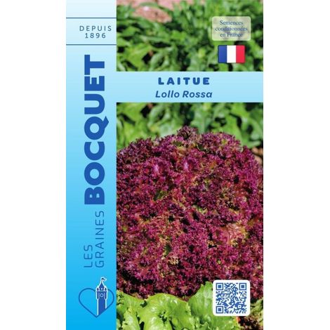 Laitue à couper Lollo Rossa - 3g
