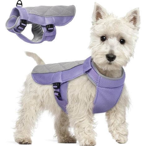 Gilet Rafraichissant Chien, Manteau Rafraichissant pour Chien Confortable Harnais Refroidissant Respirant Veste Rafraichissante pour Journées Chaudes d'Été, Lavande S (1/5)