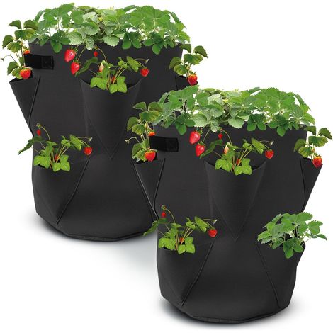 Lot de 2 Sacs de Plantation de Fraises en Feutre - 45 x 35 cm - Sac pour Jardins, balcons, Plantes, Sacs pour Fraises, ail, oignons, Herbes (1/5)