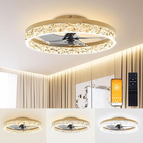 Ventilateur plafond LED 50 cm, télécommande lumière réglable chambre salon moderne (1/5)