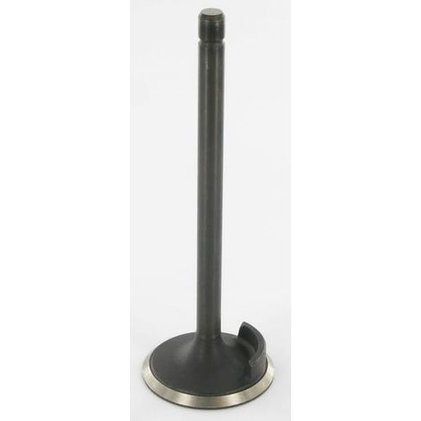 Soupape d'admission FIATAGRI 4802200