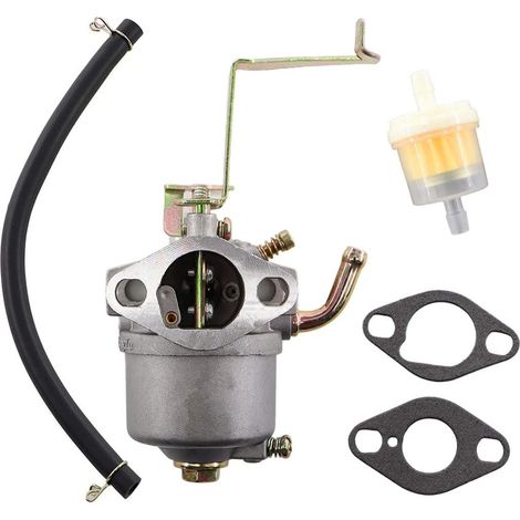 Carburateur avec joint de durite de filtre à essence pour groupes électrogènes STE 800, STE 8000/1, STE 800/1, BEX/1 (1/5)