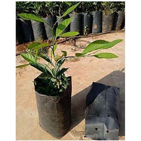 100 pots en plastique pour semis, conteneurs de propagation de plantes, 8 cm x 8 cm (1/3)