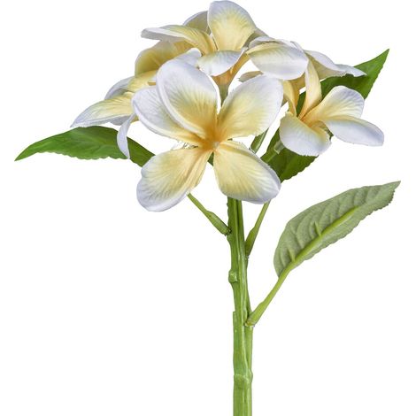 GASPER Frangipani - Plumeria Gelb & Weiß 32 cm - Kunstblumen (1/2)