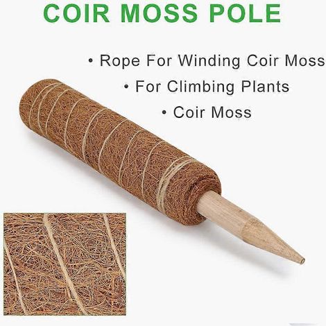 Tuteur en fibre de coco de 60 cm (23,6 po) pour plantes grimpantes, vignes et lianes (1/5)