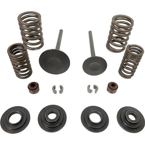 Joints de queue de soupape compatibles avec les clips de verrouillage de soupape pour motos HONDA Rancher 350 et TRX350FE (1/4)