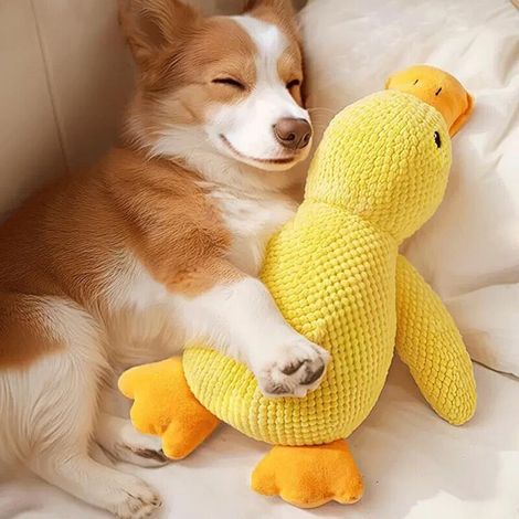 Grand jouet en peluche pour chien, jouet canard couineur, jouet doux adapté aux chiens de petite, moyenne et grande taille, 35 cm. (1/5)