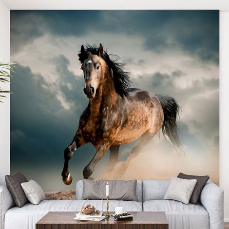 Papier peint panoramique - Cheval - 130 cm x 130 cm (1/4)