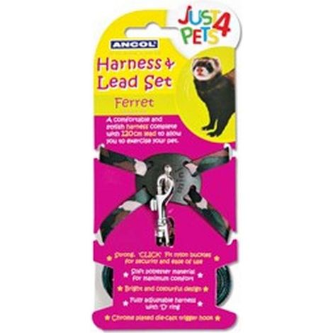 Ancol Ferret Harness And Lead Set - 2715537