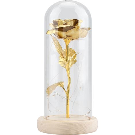 Rose Préservée - Lampe LED avec Couvercle en Verre et Base en Bois - Décoration Intérieure Romantique - 1 Pièce (1/5)