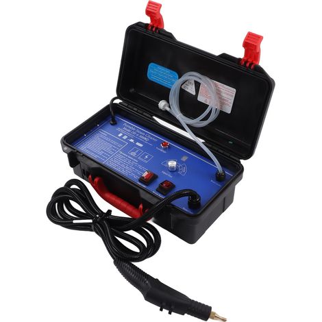 Dampfreiniger mit hoher Temperatur (max. 3,5 bar), sicheres, tragbares Druckdampfreinigungsgerät für Zuhause und Auto, 3000 W, EU-Stecker (220 V) (1/5)