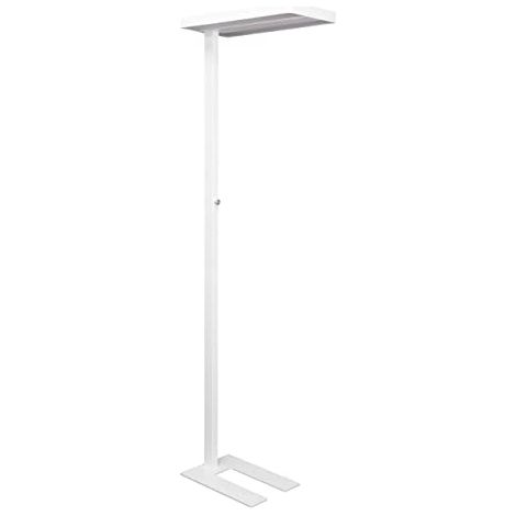 MAUL Piantana a LED MAULjaval dimmerabile 7100 lumen 80 W (1/4)
