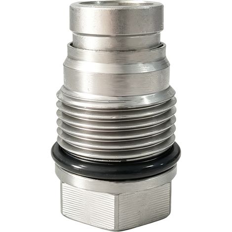 Überdruckventil kompatibel mit Ford 1110010017 1110010015 1110010018 1110010028 (1/5)